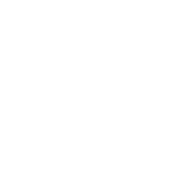Duckosaurus Games Logo